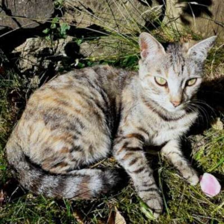 Tiere - Motte - 2021 - 01