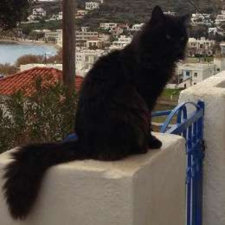 Tiere - Fred - 2022 - 01