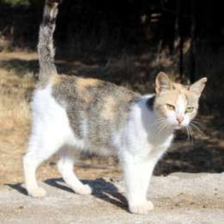 Tiere - Melina - 2022 - 01
