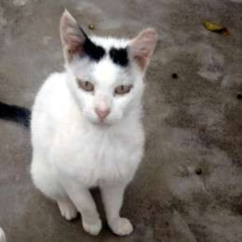 Tiere - Melina - 2023 - 01