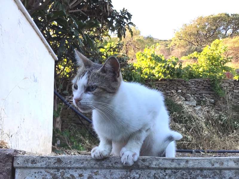 Tiere-Katia-2025-09-2022-08.jpg